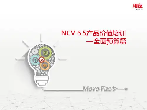 NCV6.5产品价值-全面预算(增量)