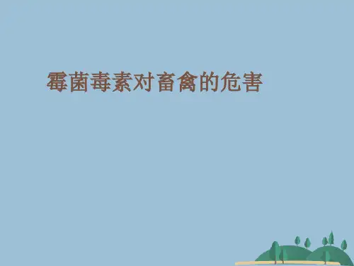 霉菌毒素对畜禽的危害