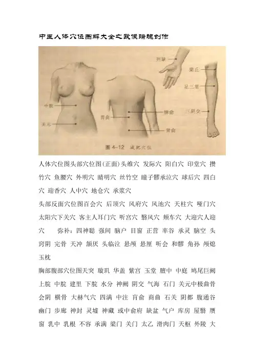 中医人体穴位图解大全