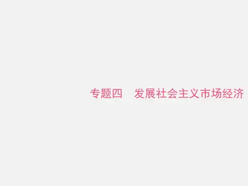 高考政治 二轮复习 专题四 发展社会主义市场经济