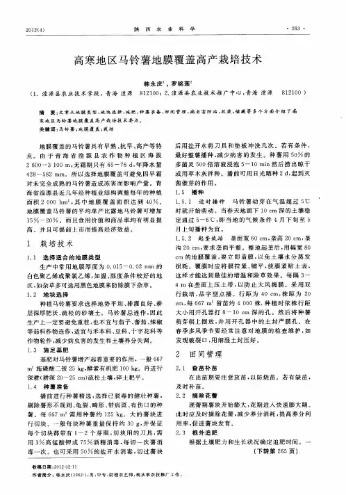 高寒地区马铃薯地膜覆盖高产栽培技术