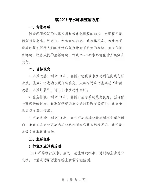 镇2023年水环境整治方案