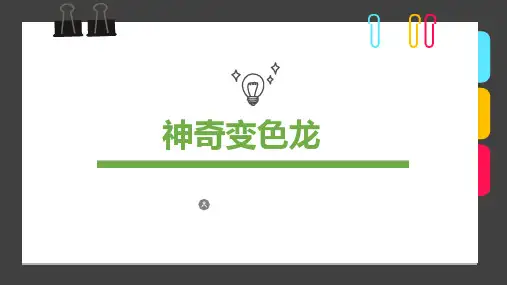 创意美术8岁12岁绘本彩墨线描《神奇变色龙》