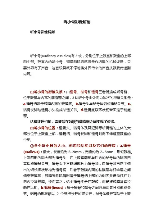 听小骨影像解剖