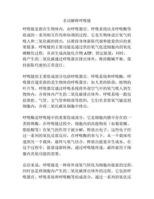 名词解释呼吸链