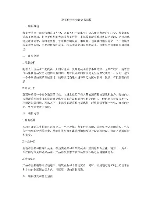 蔬菜种植创业计划书规模