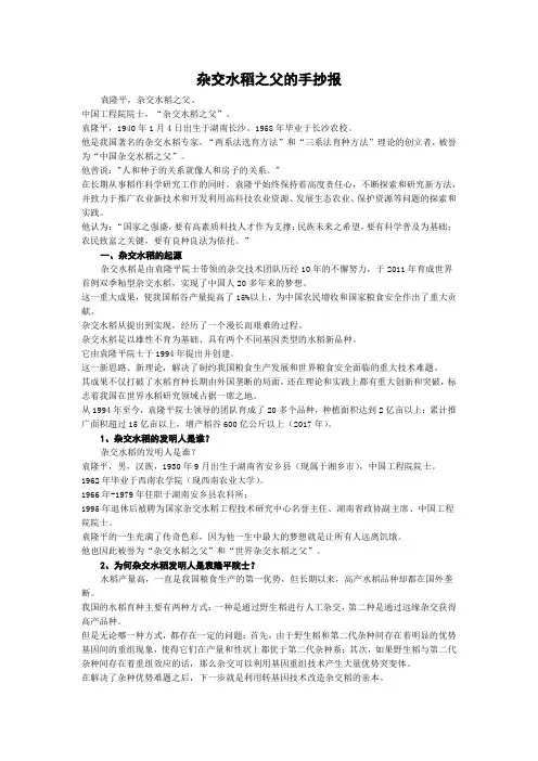 杂交水稻之父的手抄报