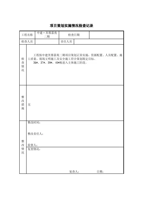 项目策划实施情况检查记录