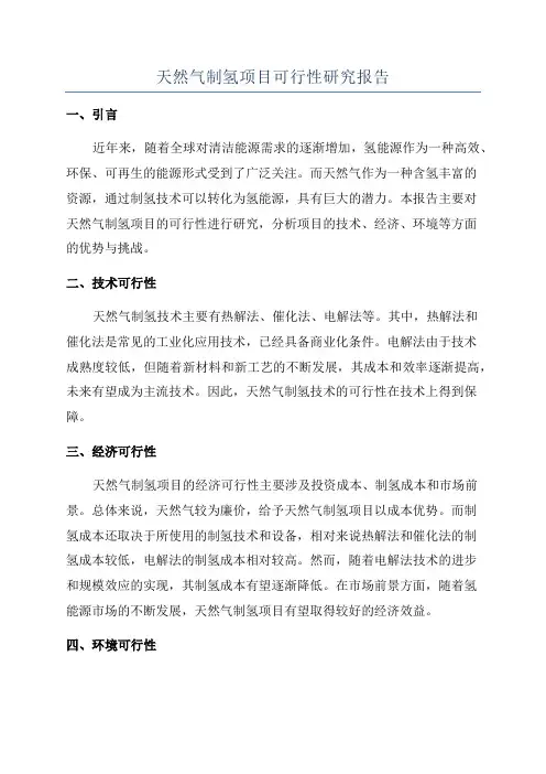 天然气制氢项目可行性研究报告