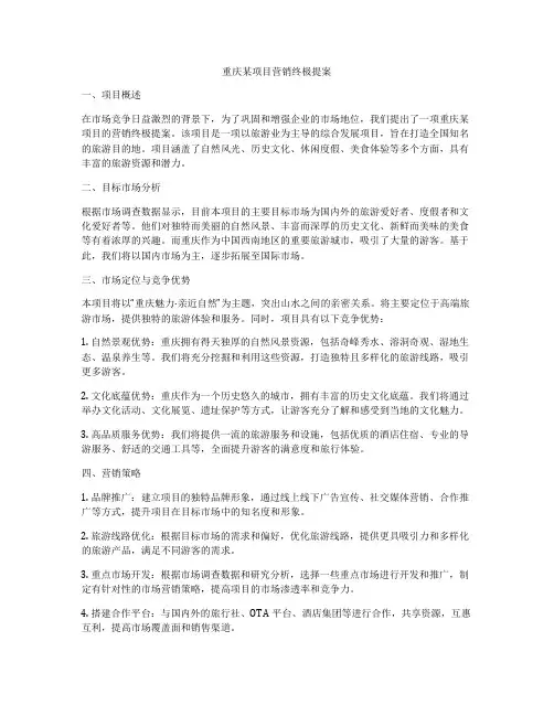 重庆某项目营销终极提案