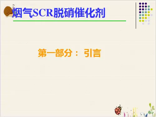 烟气脱硝系统催化剂瑞基PPT.