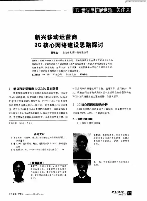 新兴移动运营商3G核心网络建设思路探讨
