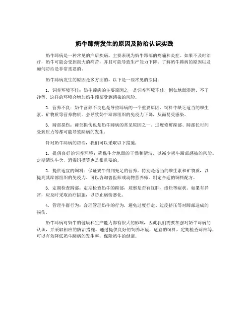 奶牛蹄病发生的原因及防治认识实践