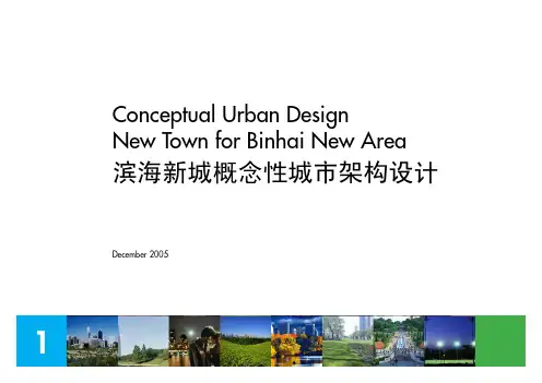 SOM：天津滨海新城概念性城市架构设计