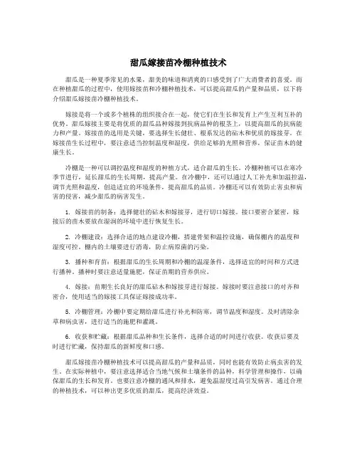 甜瓜嫁接苗冷棚种植技术