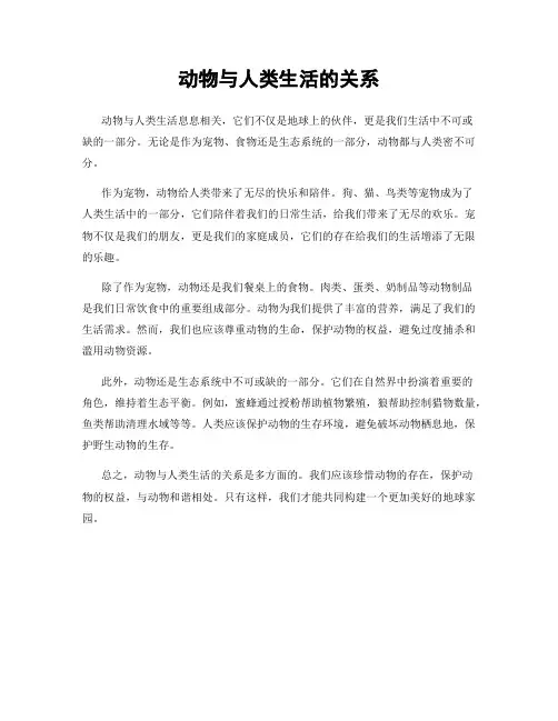 动物与人类生活的关系