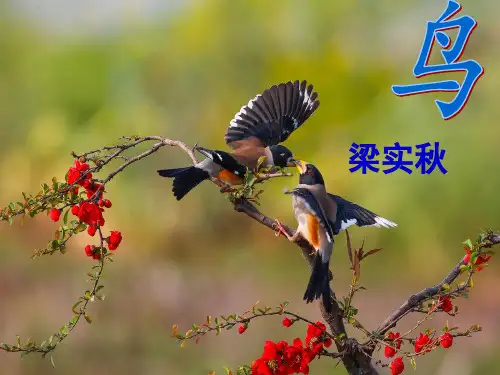 梁实秋《鸟》