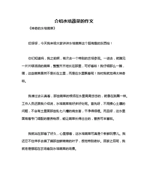 介绍水培蔬菜的作文