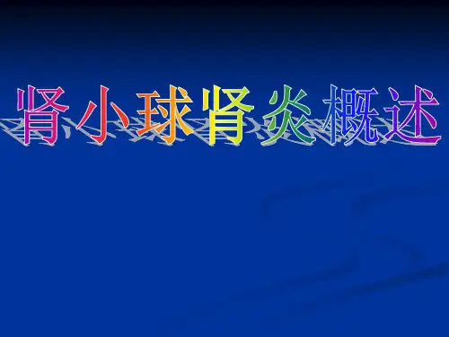 肾小球肾炎---精品医学课件