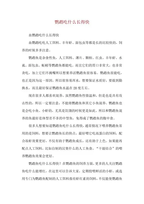 鹦鹉吃什么长得快