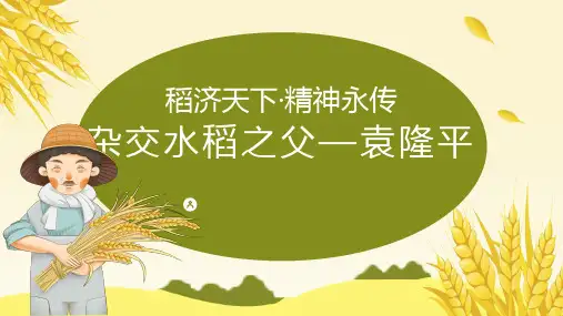 杂交水稻之父袁隆平精神传承道济天下精神永传PPT课件
