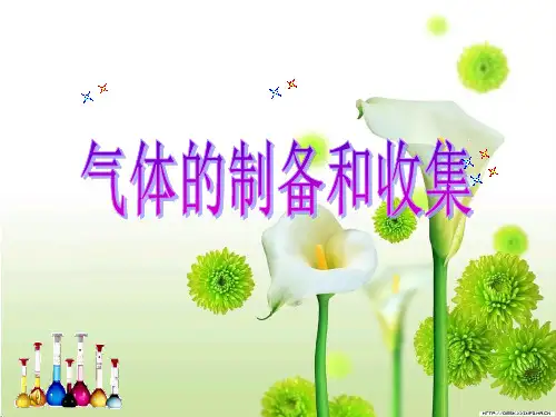 九年级化学全册 第2章《身边的化学物质》气体的制备和收集复习课件 (新版)沪教版