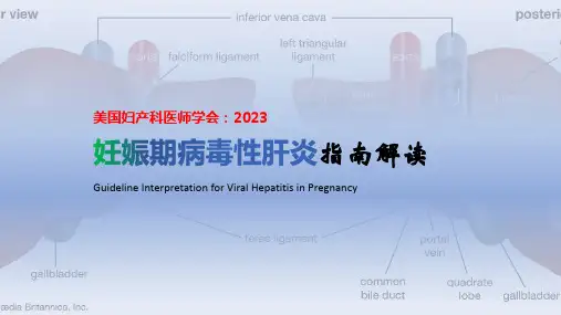 2023ACOG妊娠期病毒学肝炎指南解读