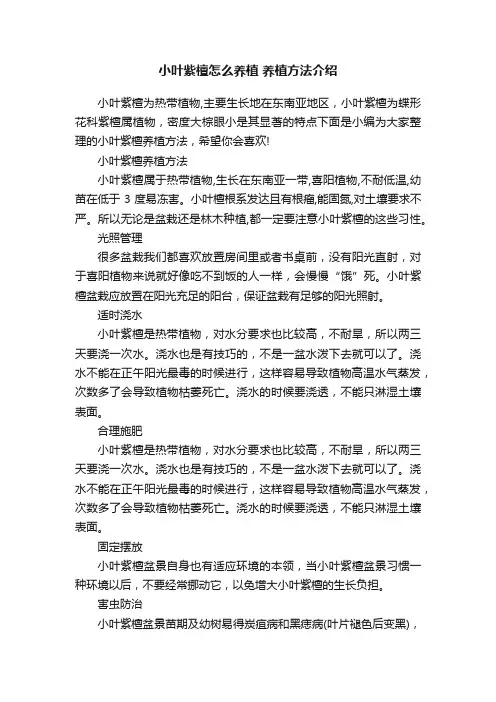 小叶紫檀怎么养植养植方法介绍