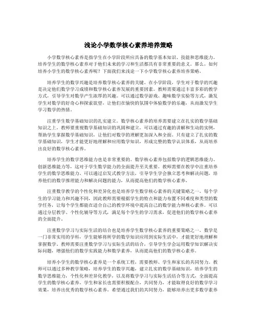 浅论小学数学核心素养培养策略