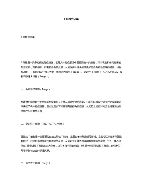 t细胞的分类