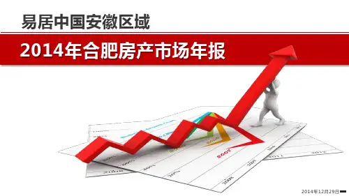 2014年易居合肥房地产年报