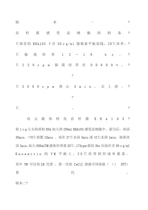 农杆菌感受态制备