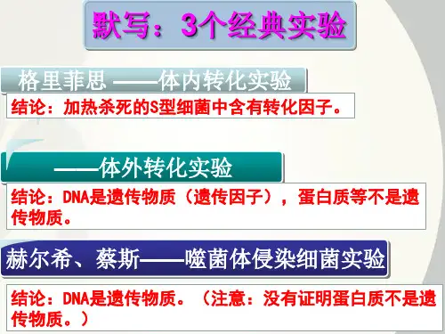 3.2 DNA分子的结构 人教版高中生物必修二PPT教学课件