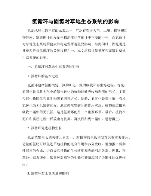 氮循环与固氮对草地生态系统的影响