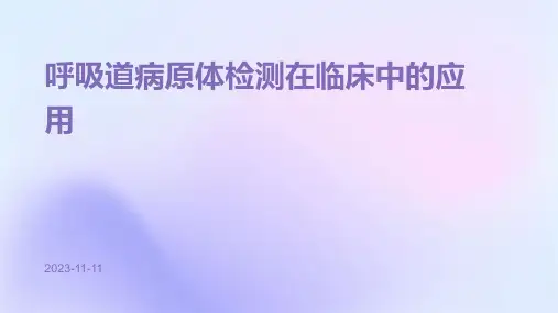 呼吸道病原体检测在临床中的应用ppt课件