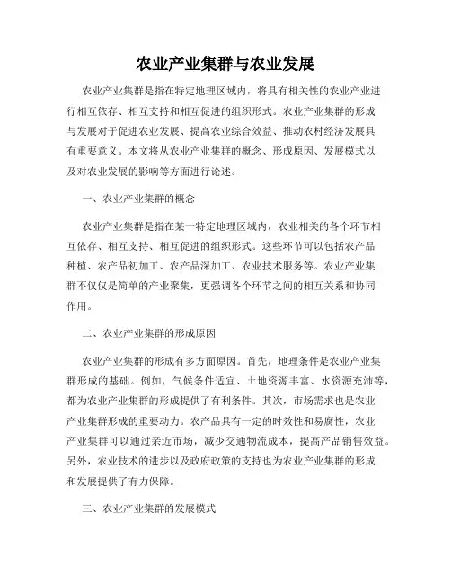 农业产业集群与农业发展