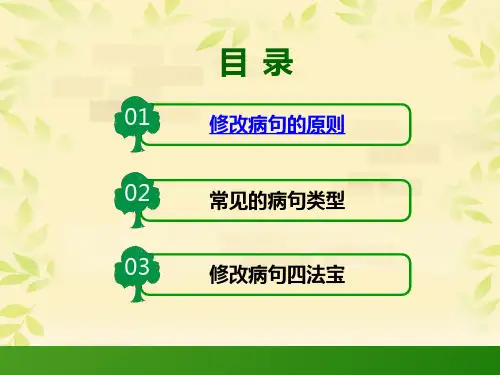 修改病句微课ppt课件