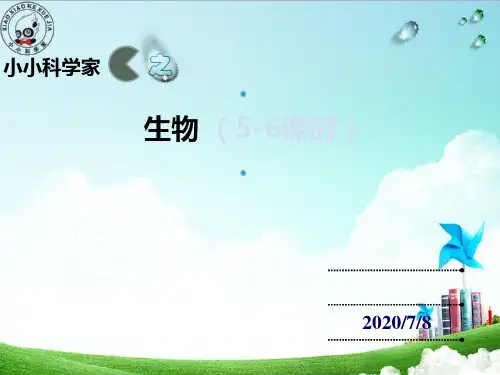 3 制作动物玻片标本