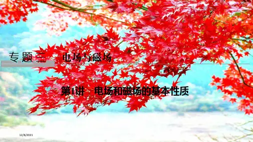 高考物理二轮复习专题三电场与磁场第1讲电场和磁场的基本性质课件