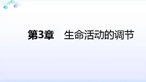 浙教版八年级科学上册第3章 生命活动的调节复习课件(26)