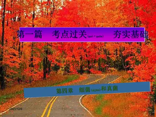 中考生物总复习第五单元第四章细菌和真菌