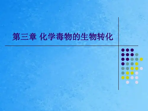 《生物转化》ppt课件