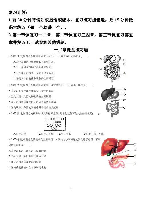 七年级生物期中习题课堂训练 