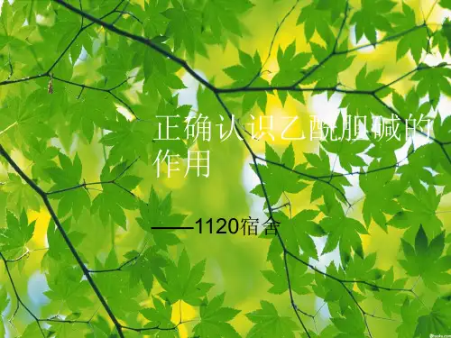 正确认识乙酰胆碱