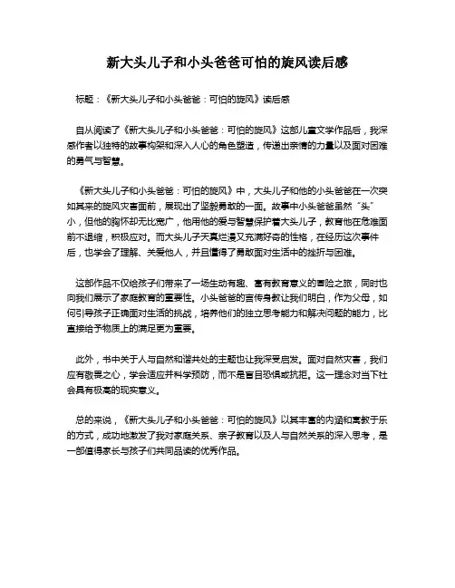 新大头儿子和小头爸爸可怕的旋风读后感
