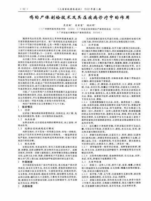 鸡的尸体剖检技术及其在疾病诊疗中的作用