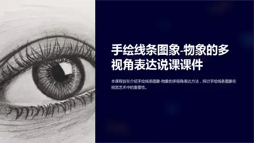 手绘线条图象-物象的多视角表达说课课件