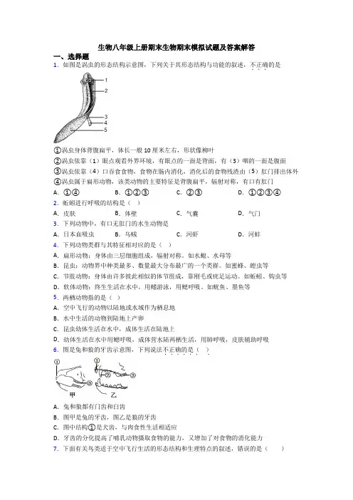 生物八年级上册期末生物期末模拟试题及答案解答