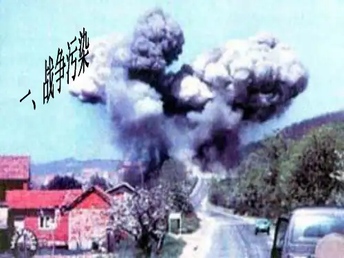 《寂静的春天》课件2