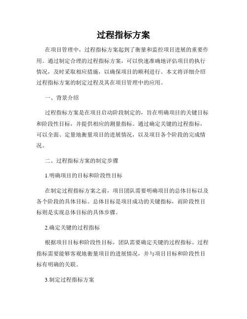 过程指标方案